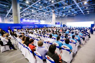 貿(mào)易服務(wù)博覽會(huì)與互聯(lián)網(wǎng)企業(yè)服務(wù)創(chuàng)新峰會(huì)雙輪驅(qū)動(dòng)，探索貿(mào)易咨詢服務(wù)新格局